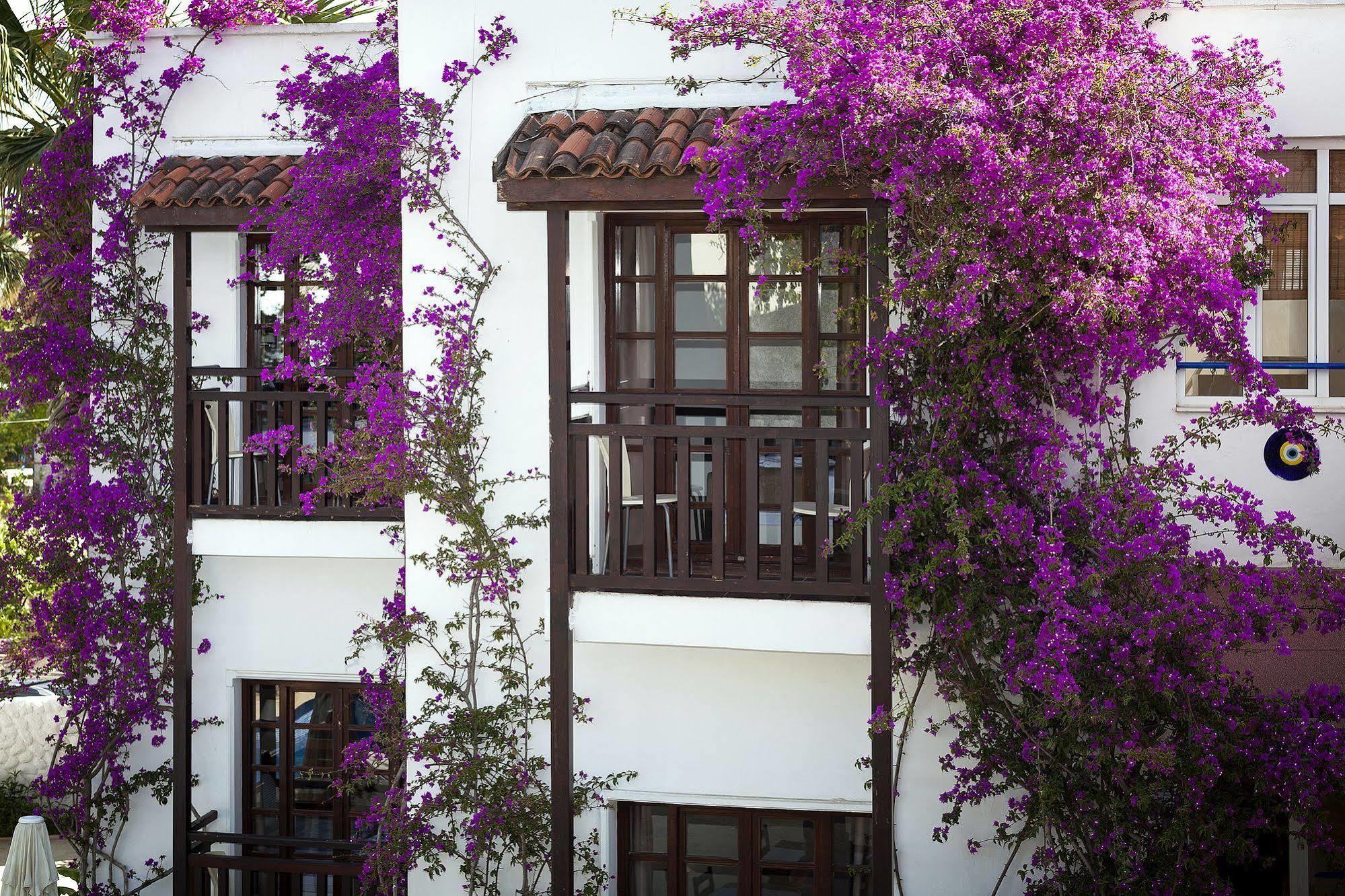 Orion Hotel Bitez Kültér fotó